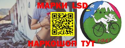 эйфоретик Будённовск