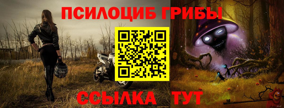 Кубинка  Псилоцибиновые грибы мухоморы  Псилоцибиновые грибы мицелий  Вход с VPN 